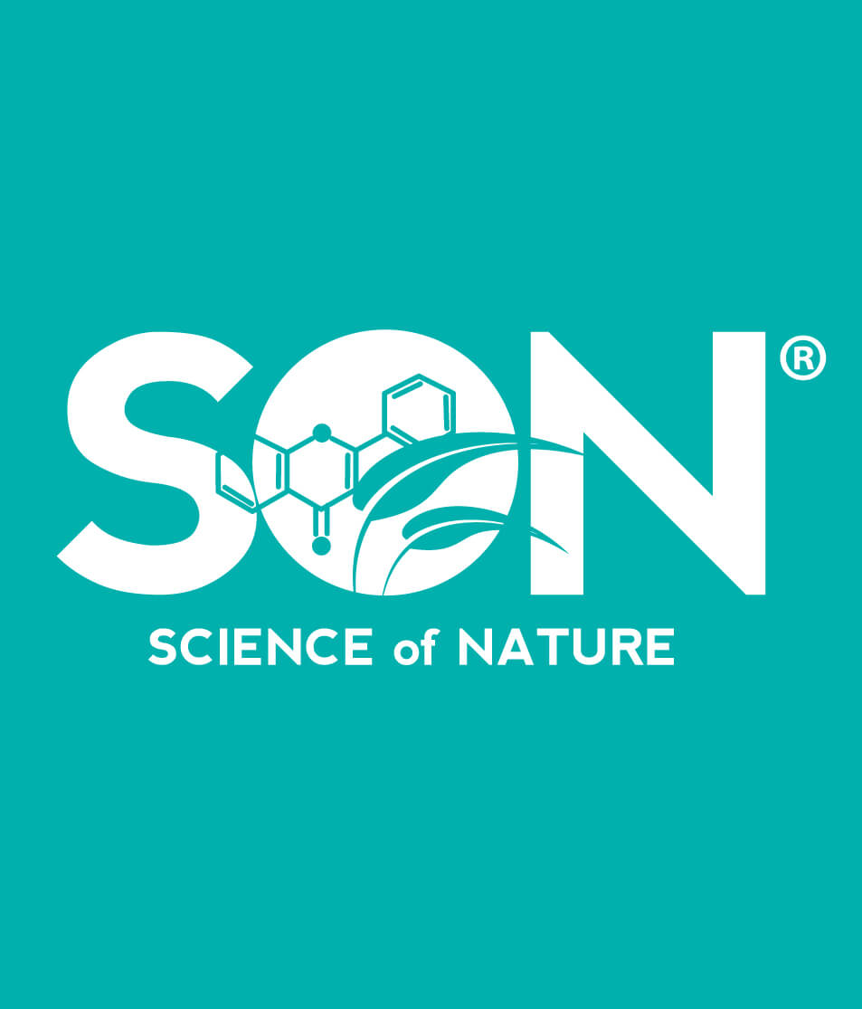 A&B Group Branding Identity SON